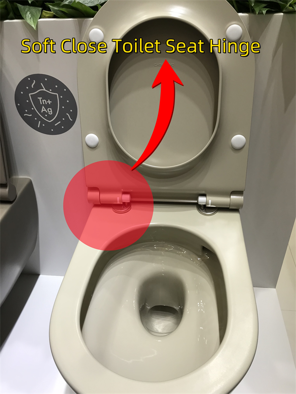 Soft-closing toilet seat hinges-1